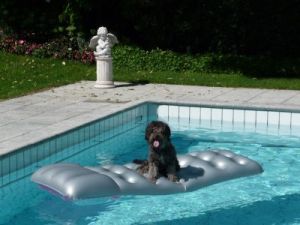 Clausy-Dusty-2010-03