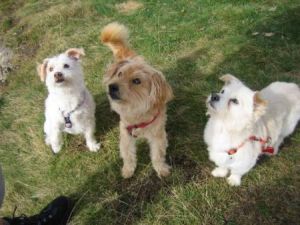 Abuelo-Nikki-Urlaub3