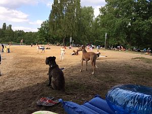 Dana-Diana2011-HE100