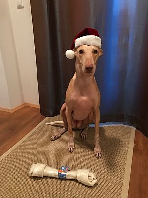 Dana-Diana2011-HE111