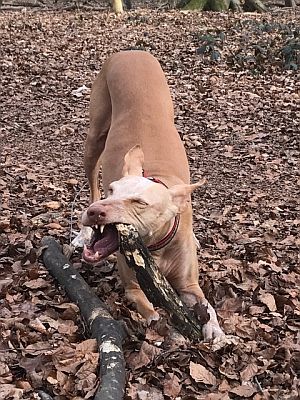 Dana-Diana2011-HE112