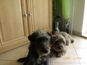 Negro08-Kuschelstunde