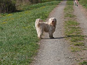 Pluto_Boomer-2011-HE10