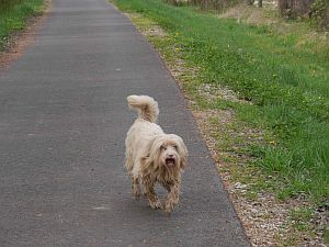 Pluto_Boomer-2011-HE6