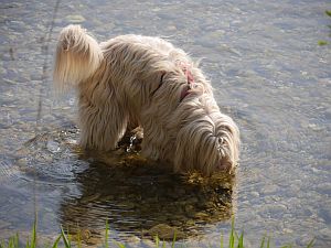 Pluto_Boomer-2011-HE9